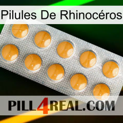 Pilules De Rhinocéros levitra1